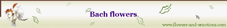 Bach flowers